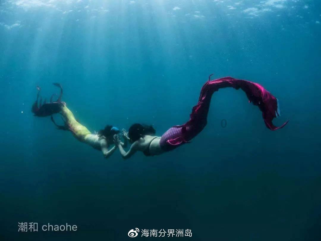 球球大作战下载最新版