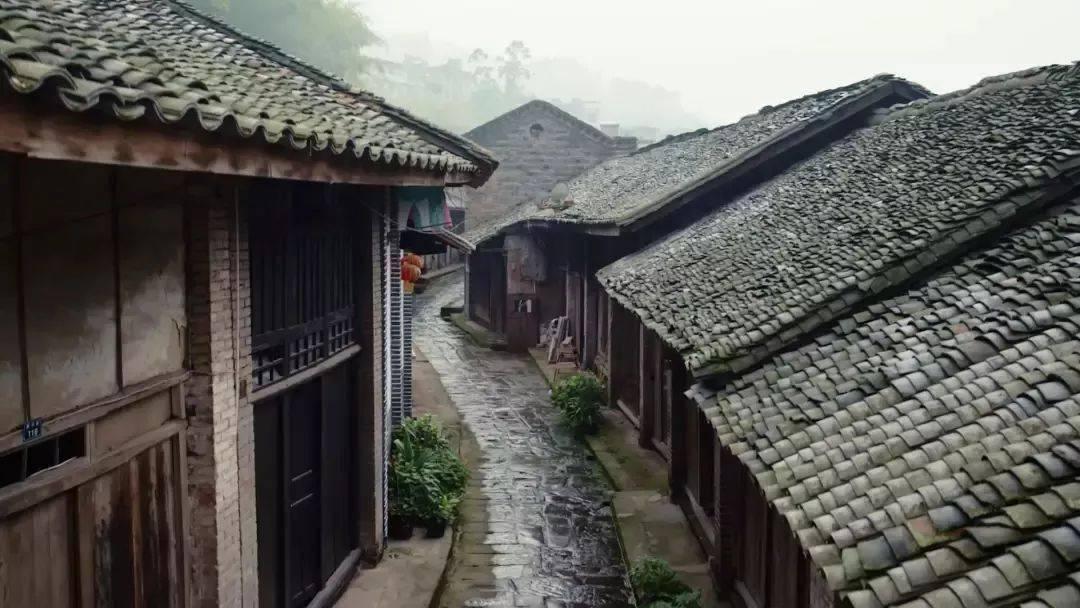 小犀牛救援
